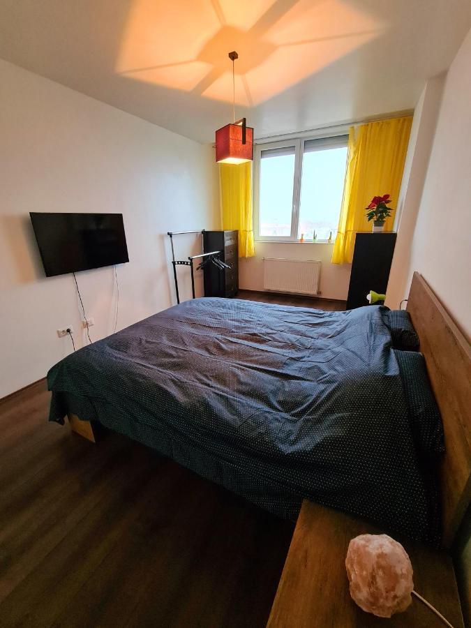 Cozy Apartment Arad Eksteriør billede